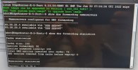 DNS.JPG
