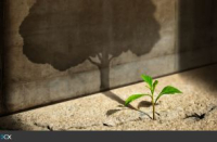 Contribuenti Forum-fb