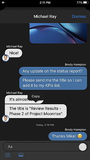 Nuova iOS App Beta con funzionalità di copia della chat
